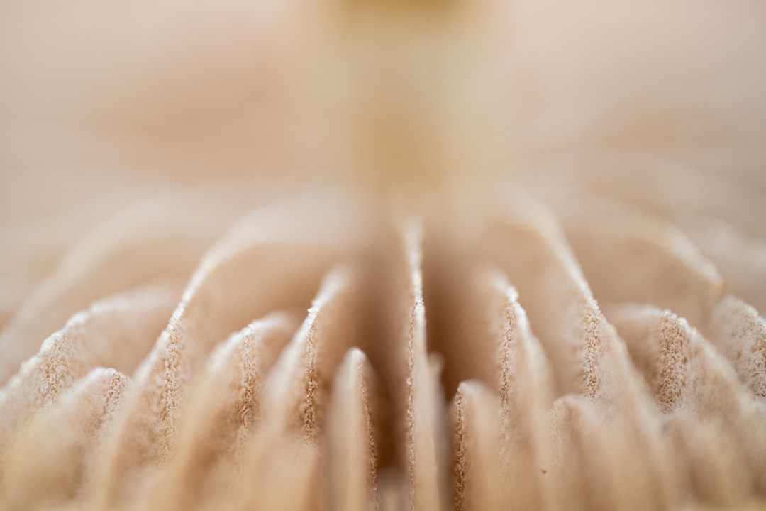 Close-up macro photography of healthy skin texture showing clinical precision and luminosity
